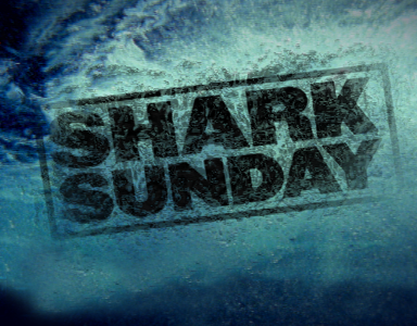 07_DSC SHARK SUNDAY